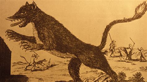 The Beast of Gévaudan, A Tale Woven From Fear, Curiosity, and the Shadows of History