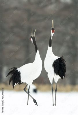 The Dancing Crane - A Timeless Tale of Love, Loss, and Transformation From Sixth-Century Japan?